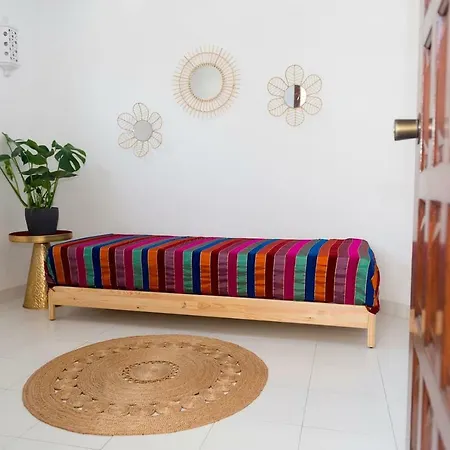 Casa Olga Vieira Apartment